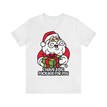 I Have a Big Package For You Santa Unisex Tee