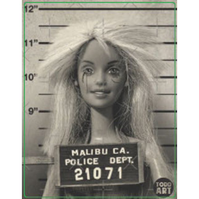 Barbie Malibu Mugshot Vinyl Sticker