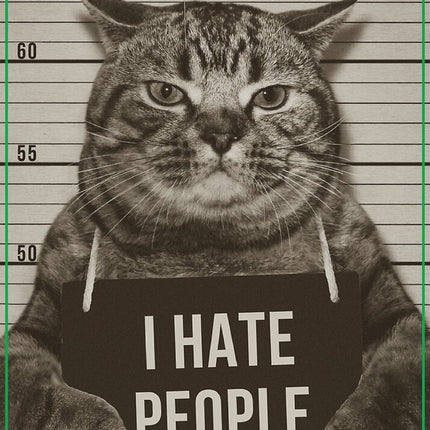 I Hate People Cat Vinyl Sticker